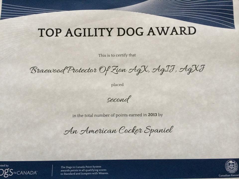 Agility Certificate